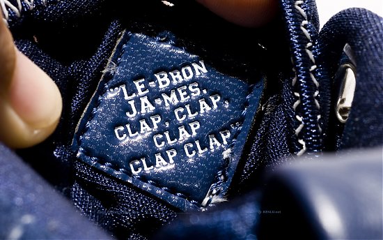 Nike Lebron V Ny 8