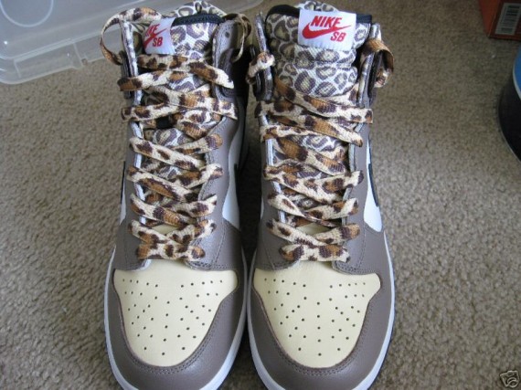 Nike Sb Dunk Hi Ferris 5
