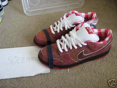 Nike SB Dunk Low – Lobster Sample