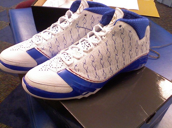 Air Jordan XX3 - Richard Hamilton PE