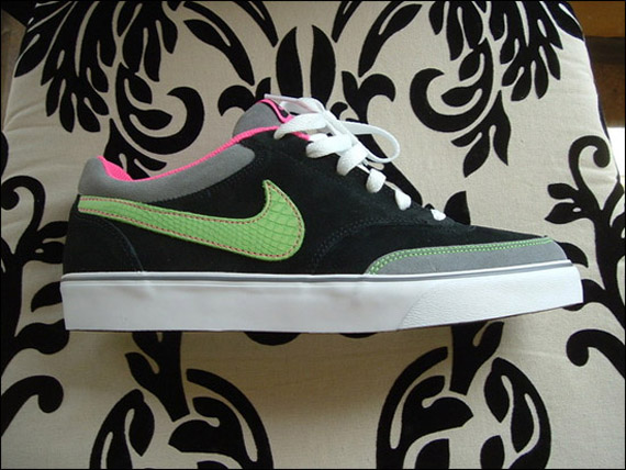 nike-sb-may-2009-03