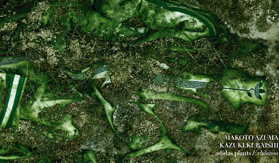 adidas-plants-pack-2