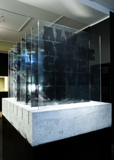 nike-pegasus-spirit-room-12-387x540