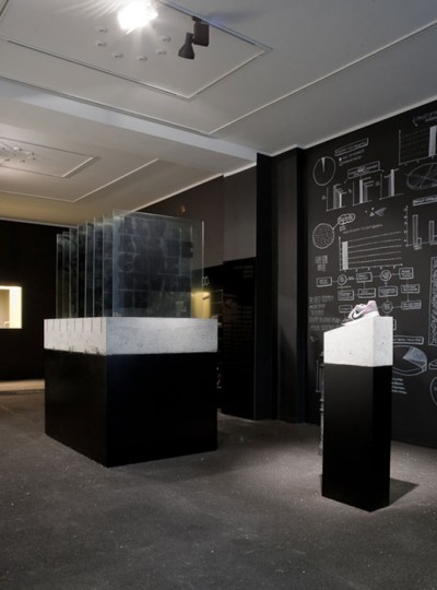 nike-pegasus-spirit-room-9-400x540