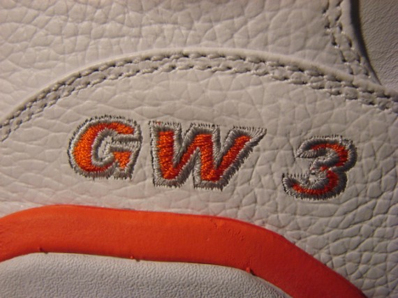 Air Jordan 9.5 - Gerald Wallace PE - Bobcats Home