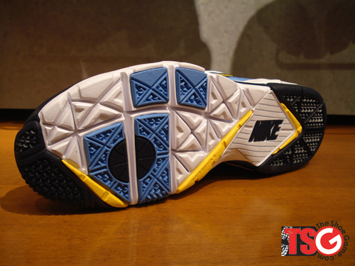 ladainian-tomlinson-nike-trainer-sc-2010-4