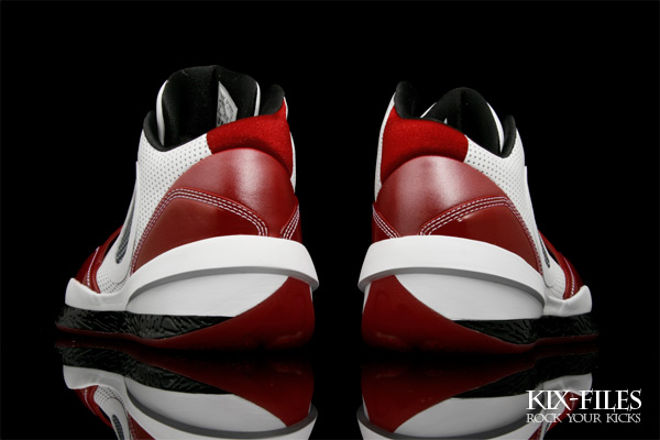 Nike Air Jordan 2010 Wade Welcome Home 4