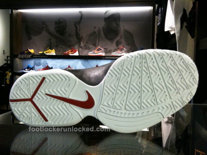Nike Hyperfly Brandon Roy 4