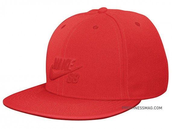 Nike Sb Fitted Cap 01 570x427