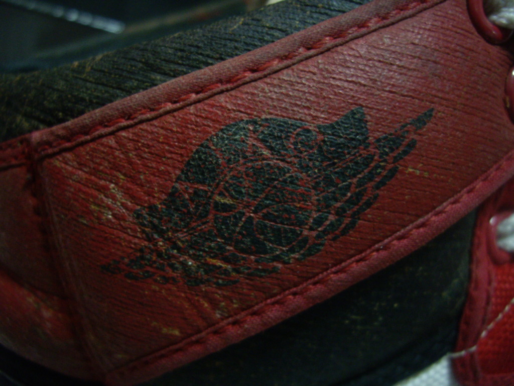Jordan Ajko 1985 2010 Comparison 02