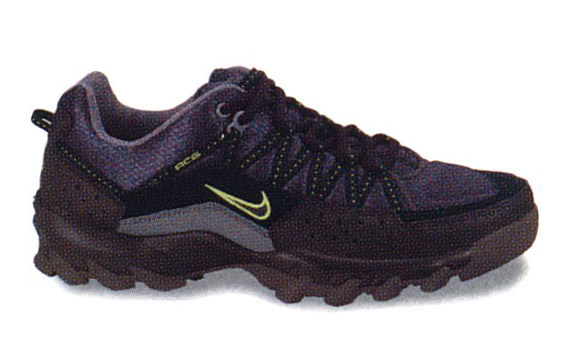 Nike Takao Low 1