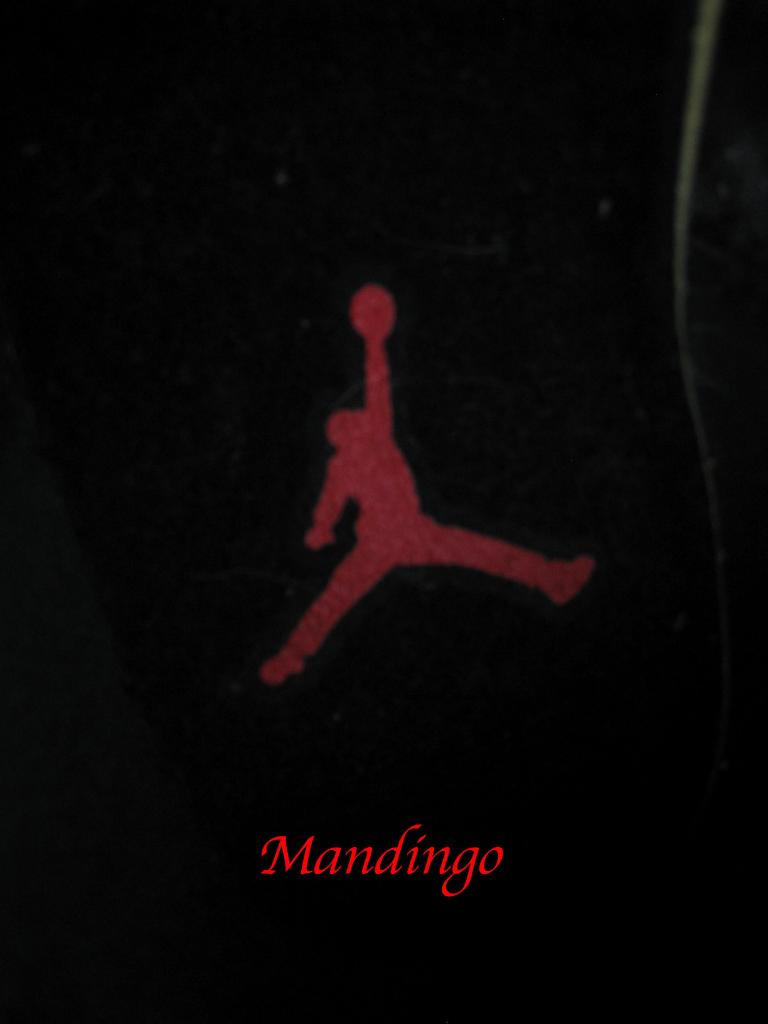 Air Jordan Xi Low Referee Sample 02