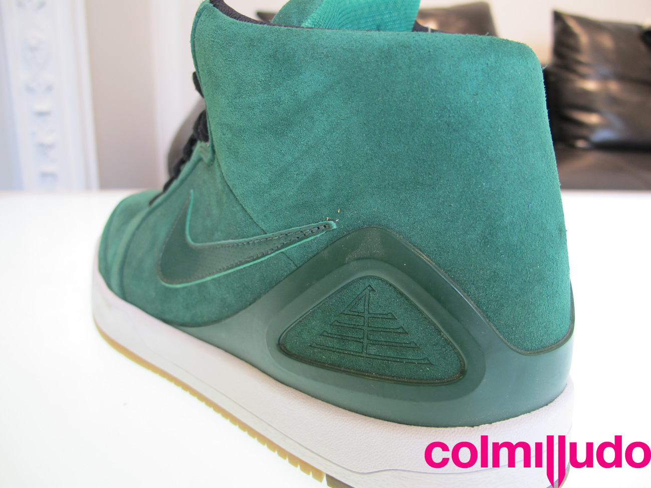 Colmilludo Img 2383