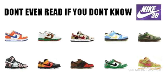 Nike Sb Story 2