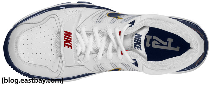 Nike Trainer 1 2 Lebron 3
