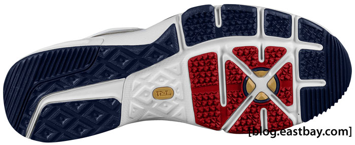 Nike Trainer 1 2 Lebron 4