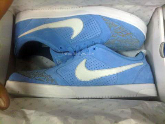 Nike Sb Prod 4 Ftlotg Sample 03