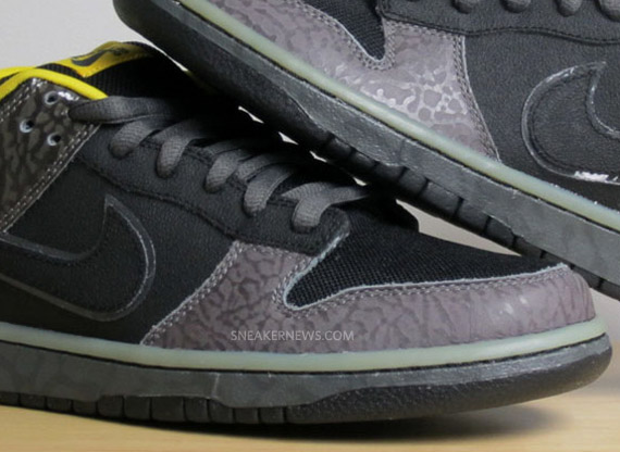 Nike Sb Dunk Low Premium 313170 010 Summary