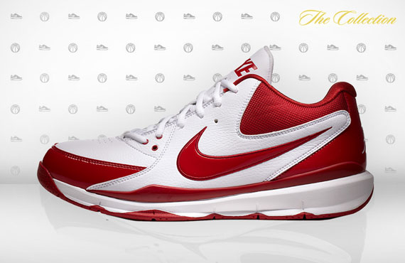 Nike Zoom Go Low Aaron Brooks Pe 04