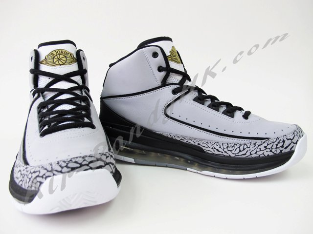 Air Jordan 2.0 Cool Grey Cement 3
