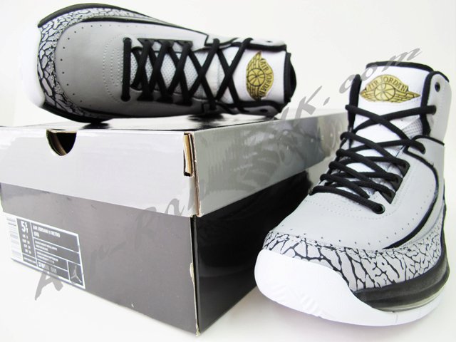 Air Jordan 2.0 Cool Grey Cement 6