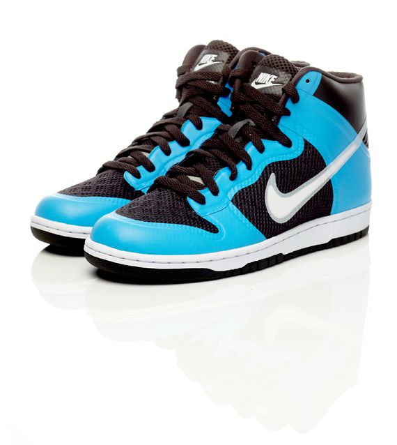Nike Air Dunk Hyperfuse Premium 03