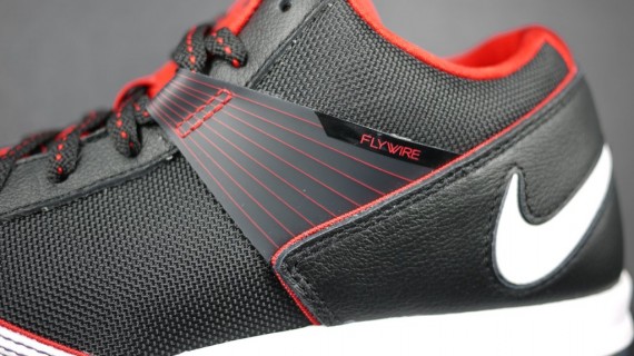 Nike LeBron Ambassador III - Flywire Samples