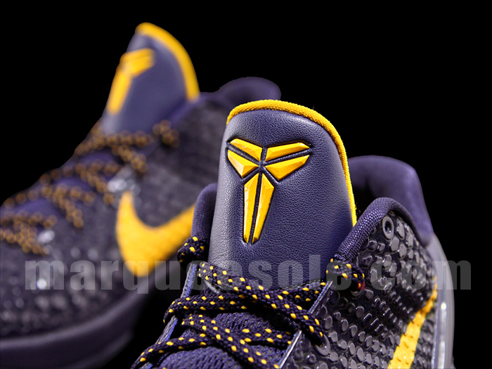 Zk6 Purpmaize M 6m