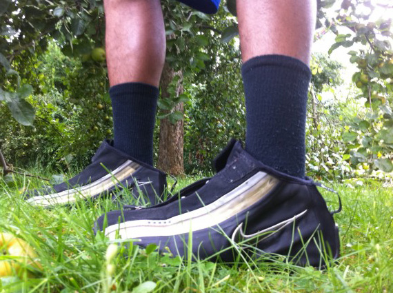 Best Of Wdywt 8 23 11 8 29 11 05