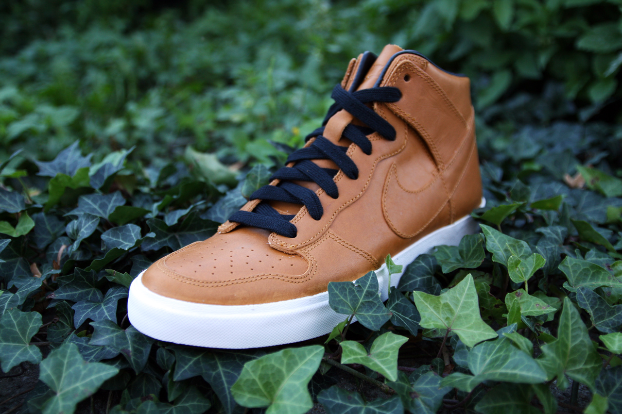 Nike Dunk High Ac Quickstrike 2