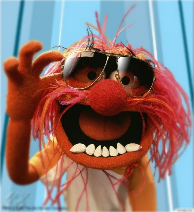 Muppets Adidas Originals Ar 2.0 Animal 6