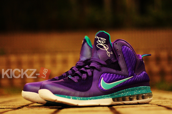 Nike Lebron 9 Hornets 3