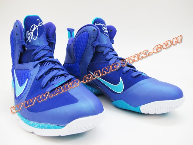 Nike Lebron 9 Summit Lake Hornets 31