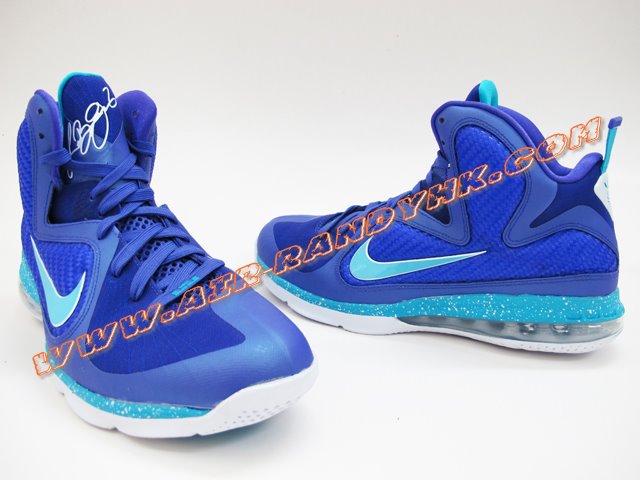 Nike Lebron 9 Summit Lake Hornets 41