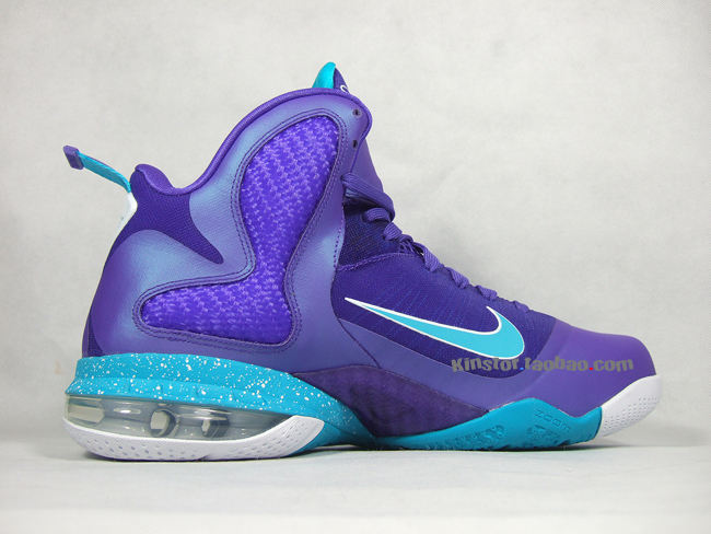 Nike Lebron 9 Summit Lake Hornets 4