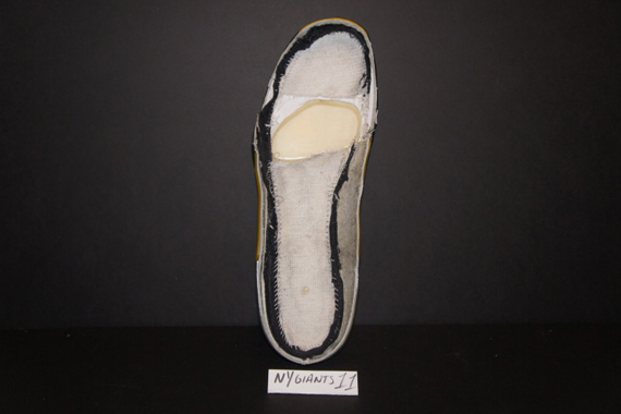 Air Jordan Xvii Dissected Low 10