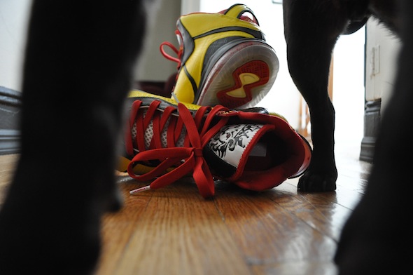 Nike Lebron 8 Bruce Lee Customs By Laptop Lasane 02