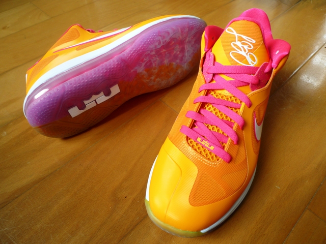 Nike Lebron 9 Low Floridians 2