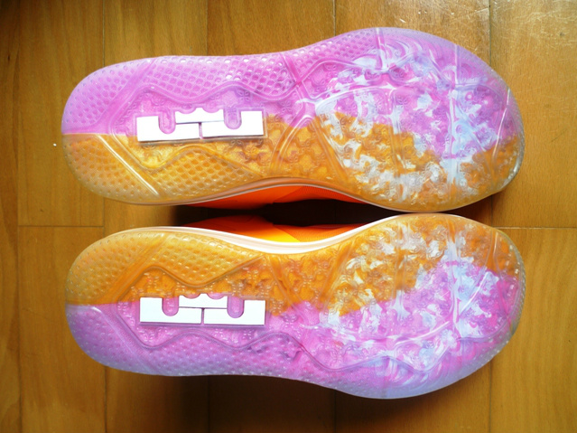 Nike Lebron 9 Low Floridians 3