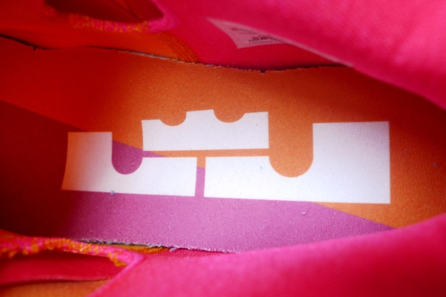 Nike Lebron 9 Low Floridians 5