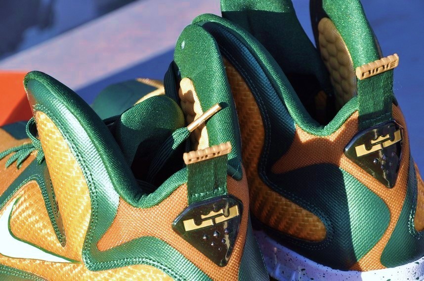 Nike Lebron 9 St Vincent St Mary Away 5