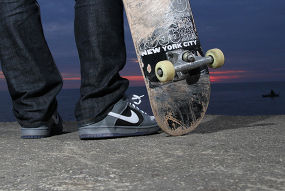 Premier Sb Dunk Low 15
