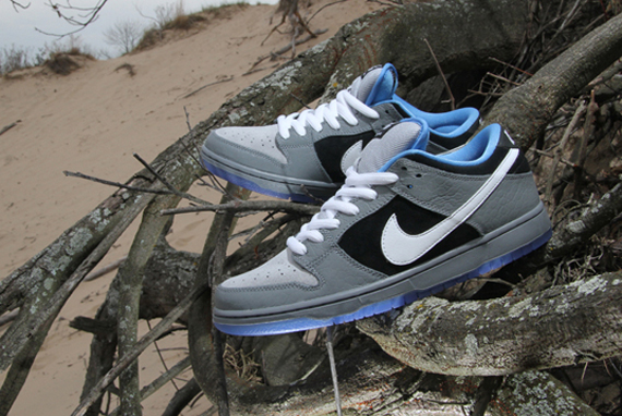 Premier Sb Dunk Low 19