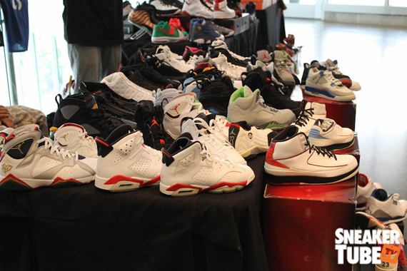 Sneakerfriends Charlotte Bobcats 14