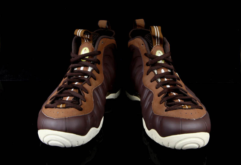 Nike Air Foamposite Pro Chocolate Sample 07