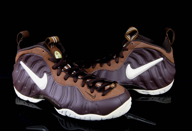 Nike Air Foamposite Pro Chocolate Sample 12