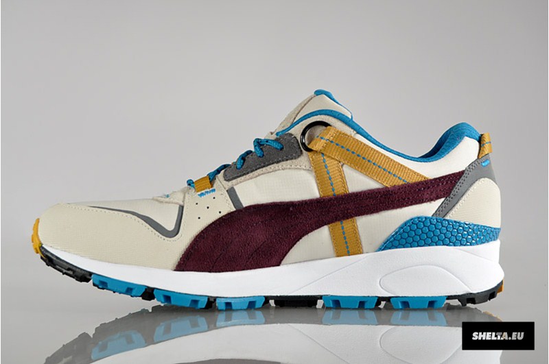 Puma Trinomic Trail Lo 2