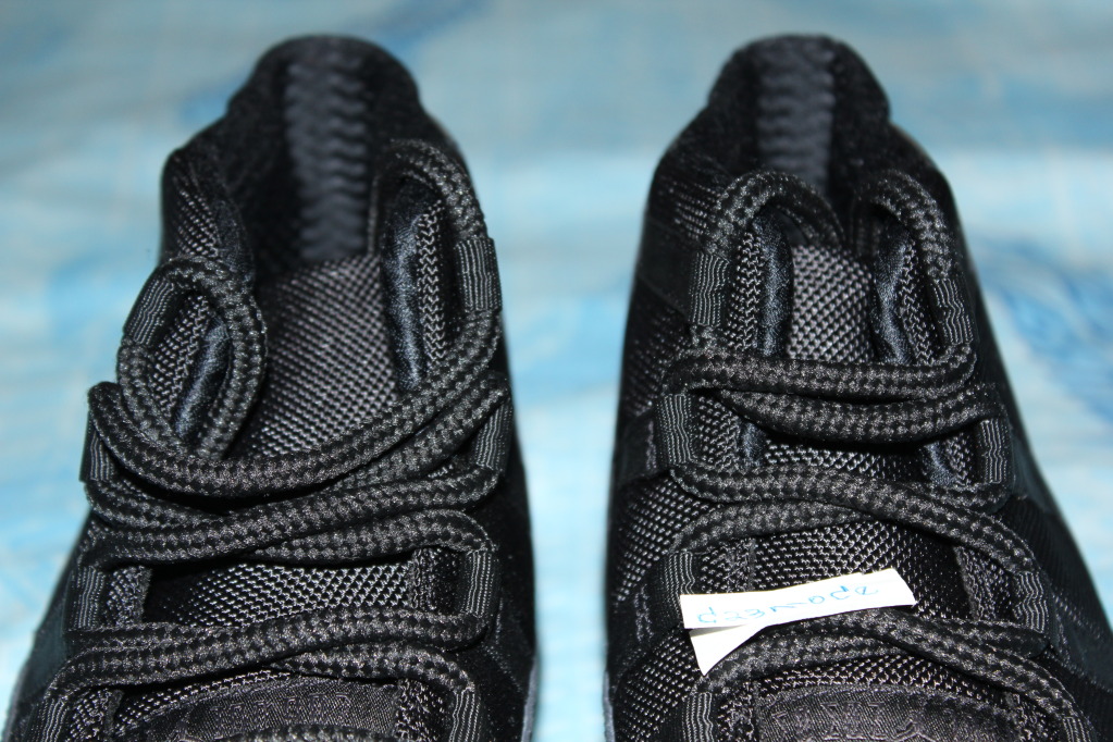 Blackout Air Jordan Xi 06