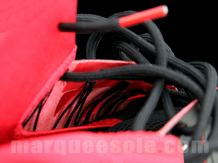 Nike Lebron X Bred 10