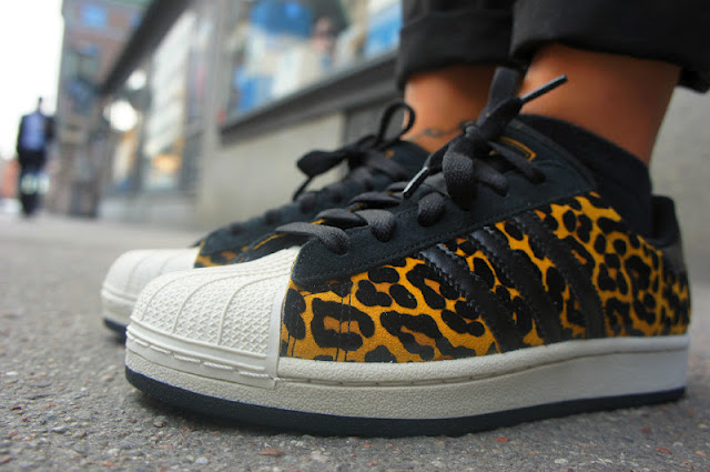 Adidas Originals Animal Pack 6